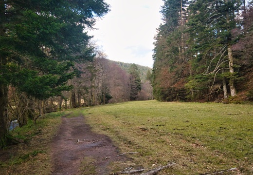 20220205202114-9d962748